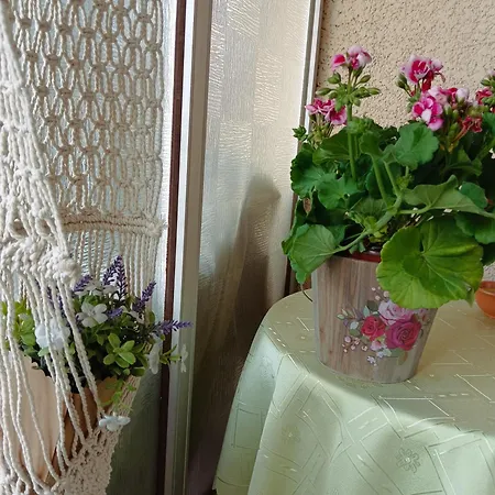 Marina Zea Christina'S House Apartment Piraeus Exterior photo