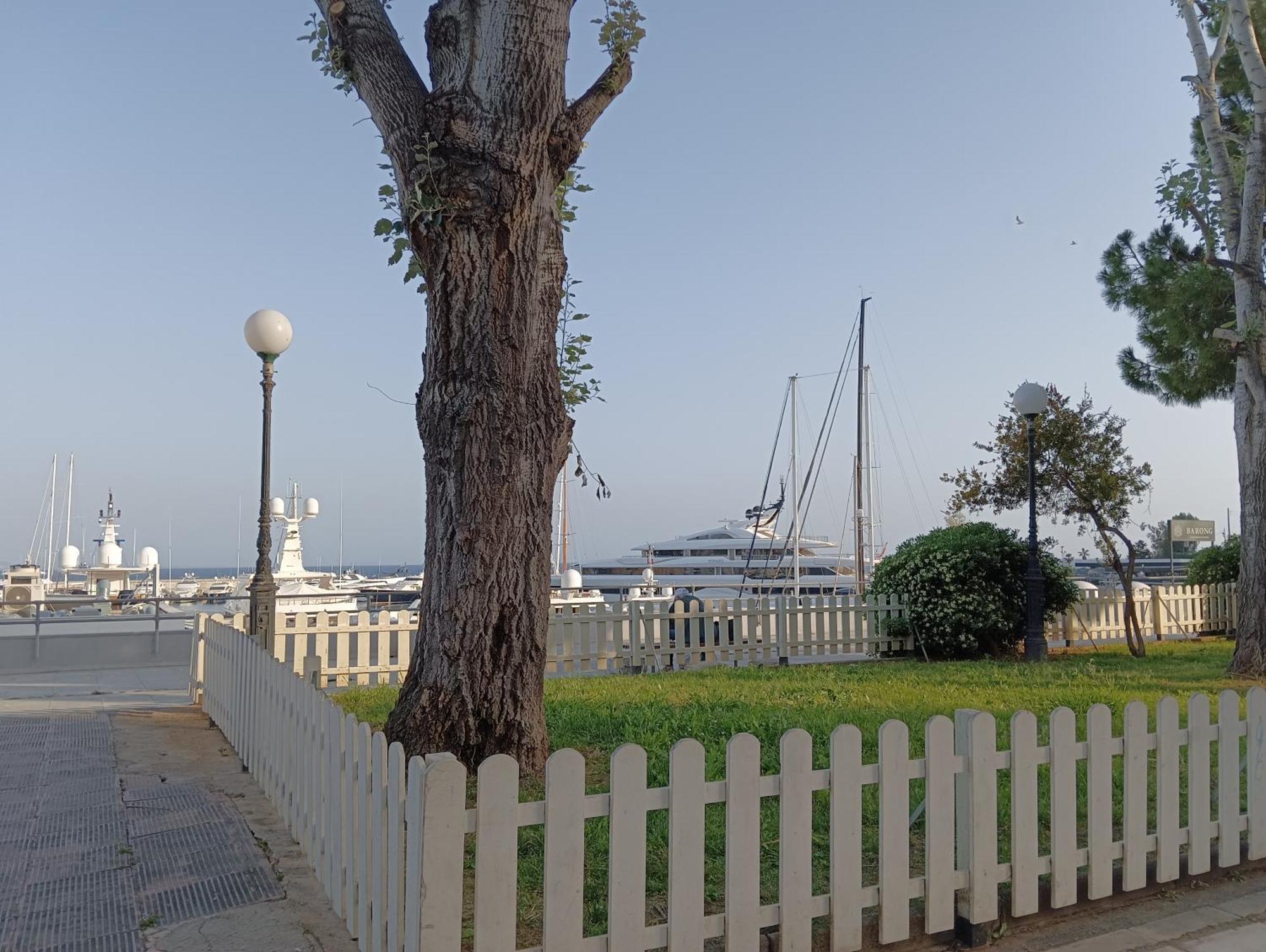 公寓 Marina Zea Christina's House Piraeus